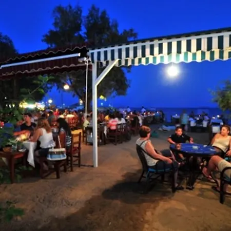 Manolya 4* Ортакент