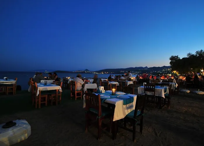 Hotel Manolya 4*